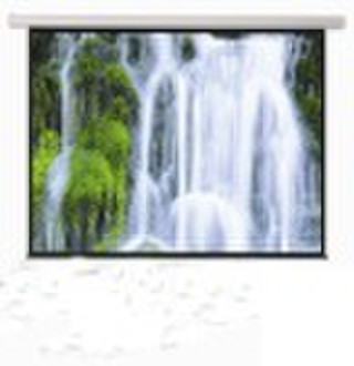 matte white motorized projection screen with remot