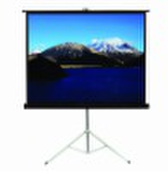 matte white tripod screen