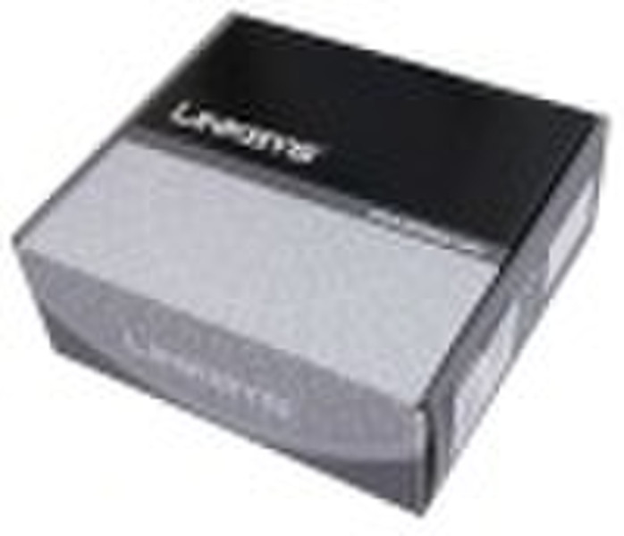 entriegelt linksys RTP300 2-Ports VoIP-Gateway