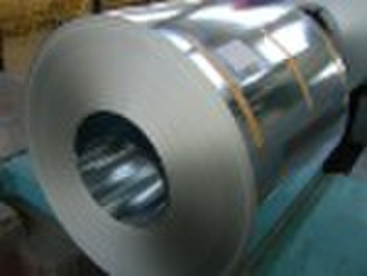 Galvanized Steel Coil