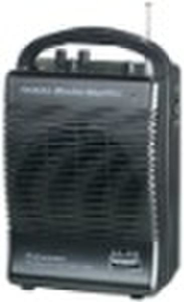 portable wireless amplifier