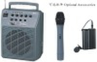 portable wireless amplifier