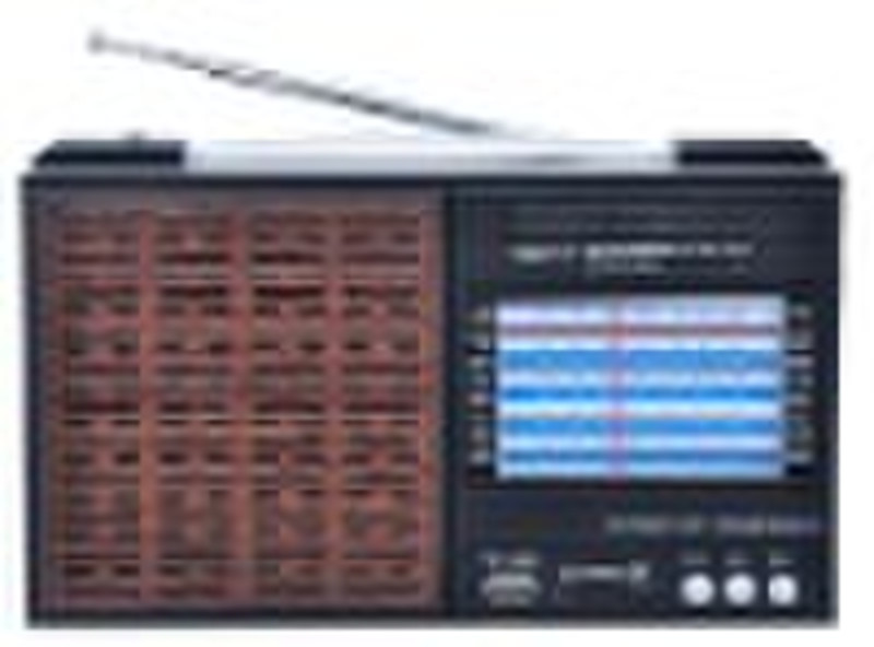 RADIO WITH USB/SD