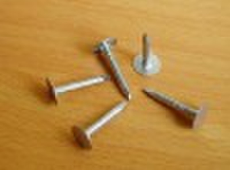 roofing nails with flat head(clout nails)02