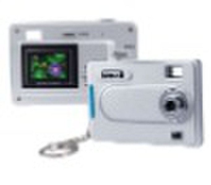 Digital camera--DC306