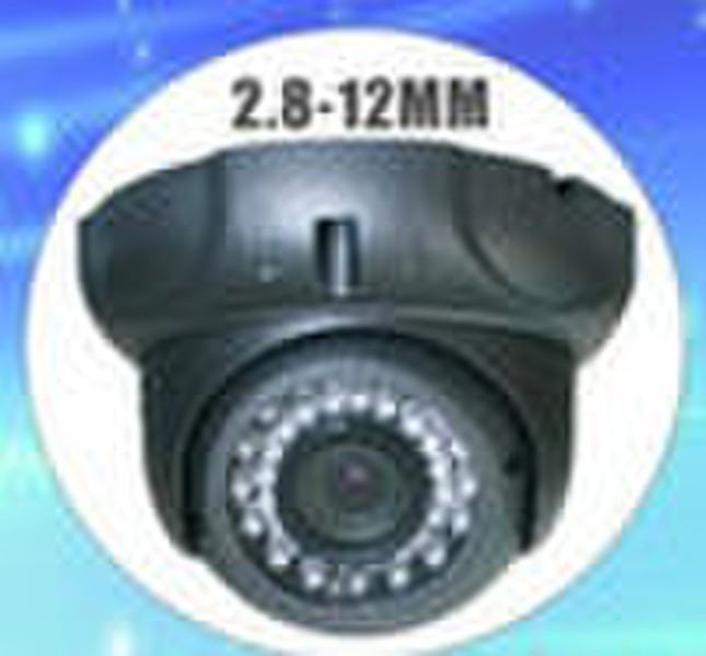 Vandal proof restraint IR Dome camera