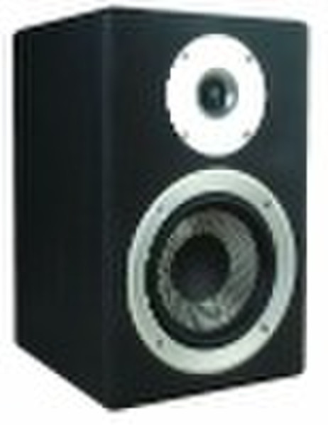 6.5 "portiert HALLO-Fi-System mit Matt black Schmerzen