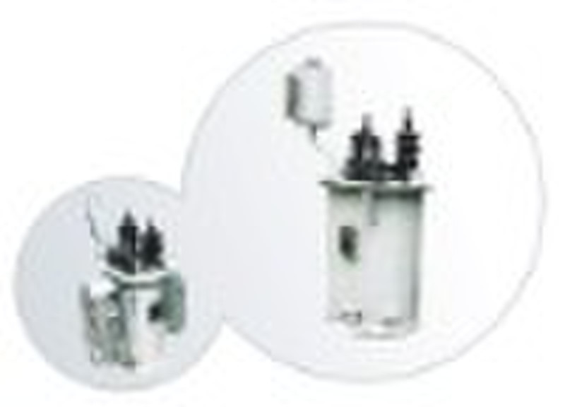 D10-B(B)M  single-phase lightning Arrester power t