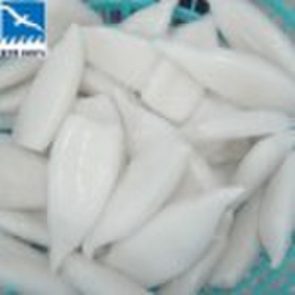 Frozen Hight Quality Todarodes Squid Tube