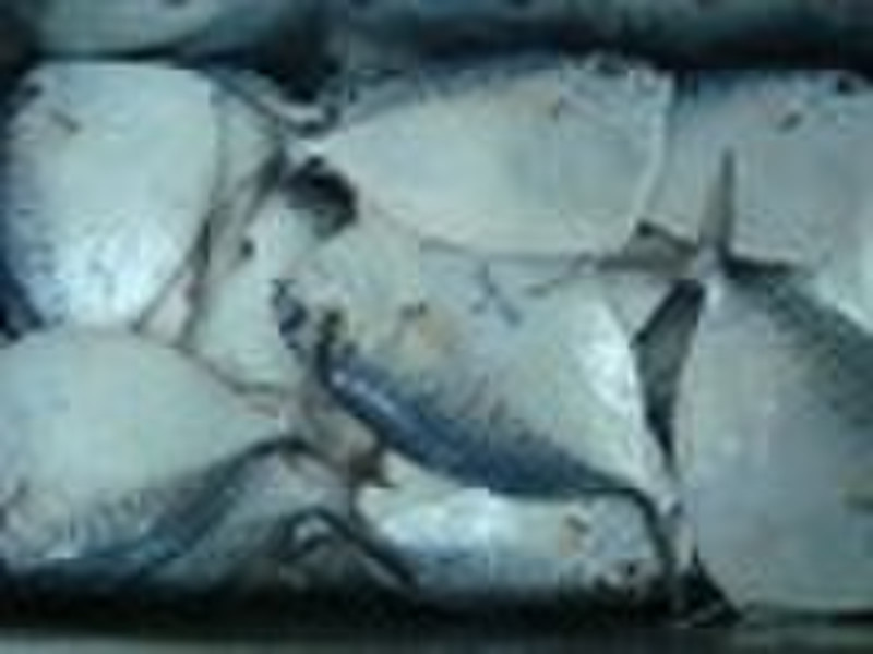 China Herkunft blockieren gefrorene ganze Runde Moonfish