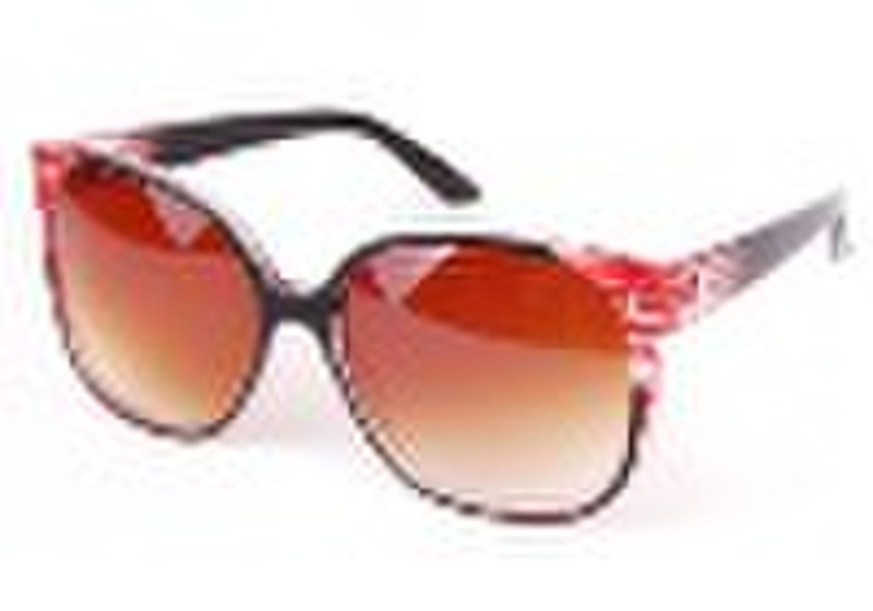 2010 New Fashion Sunglasses