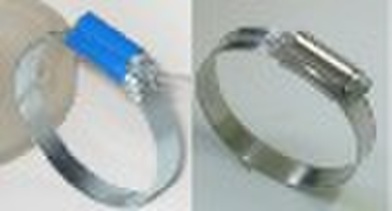 British type  hose clamp