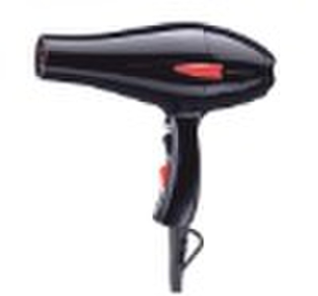 Professional Hair Dryer