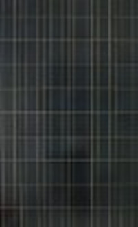 200-230W Polycrystalline solar module