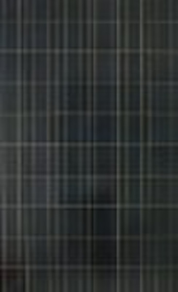 200-230W Polycrystalline solar module