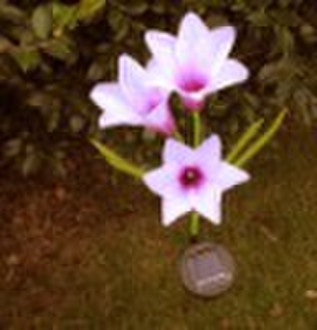 Flower Solar light