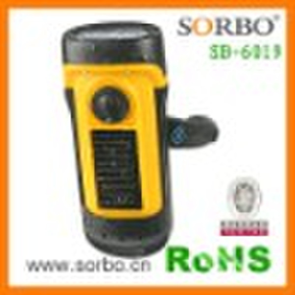 Solar Dynamo Flashlight