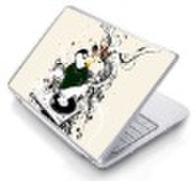 laptop skin