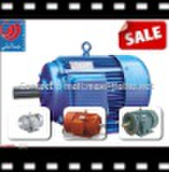 Three phase ac electric motor