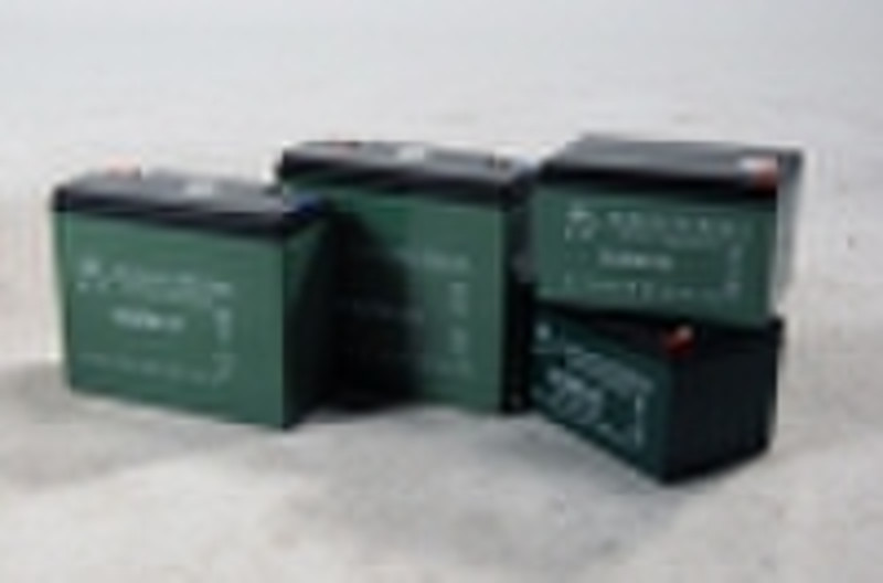 Lead Acid Battery(36V 48V)