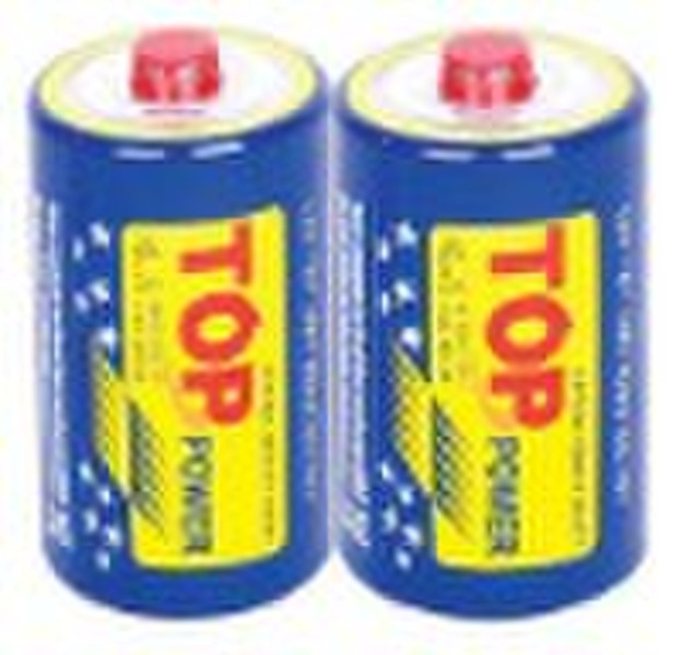 R20 dry battery