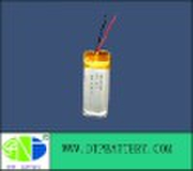 Li polymer battery with BMS