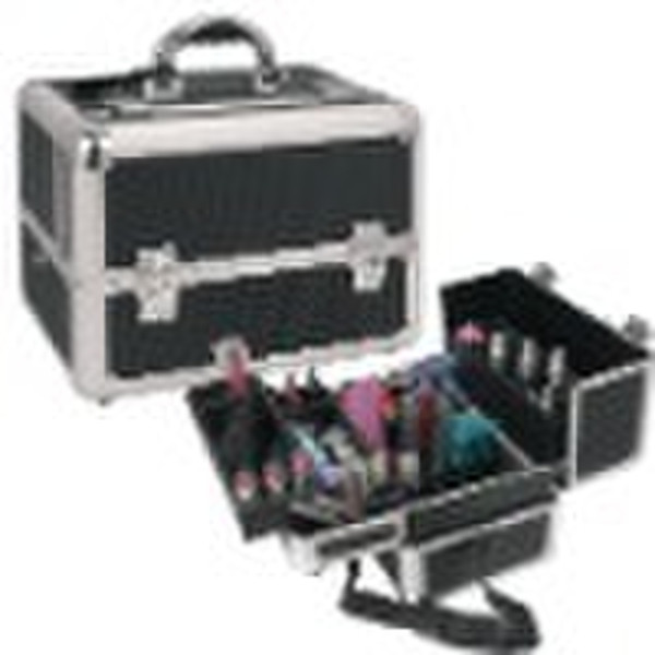 2010 cosmetics case