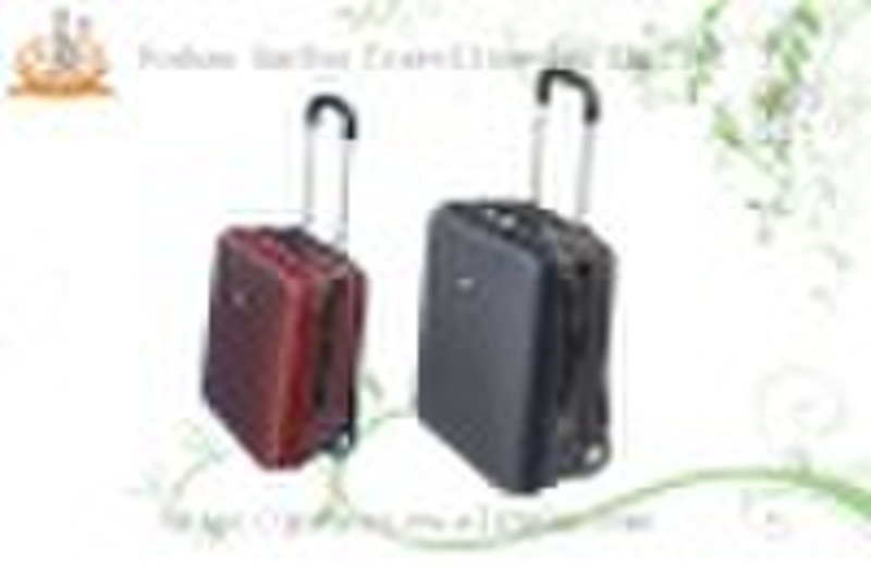 EVA Trolley Case   B907