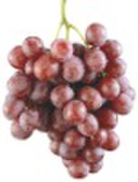 fresh grapes