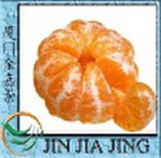 Wholesale Mandarin orange (Yongchun Ponkan)