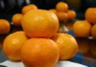 China Yongchun Lugan Orange