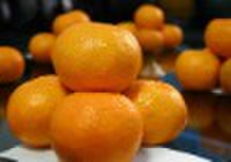 China Yongchun Lugan Orange