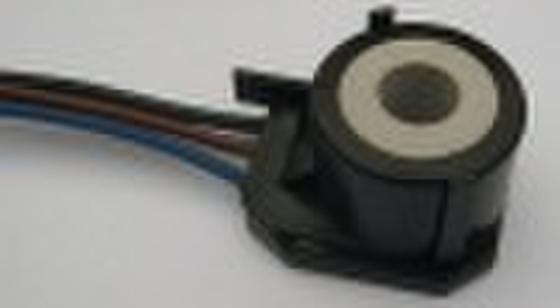 Solenoid valve coil