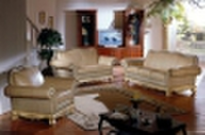 Living room sofa (155)