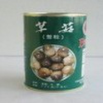 罐装稻草蘑菇