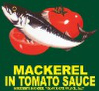 Canned Mackerel In Tomato Sauce