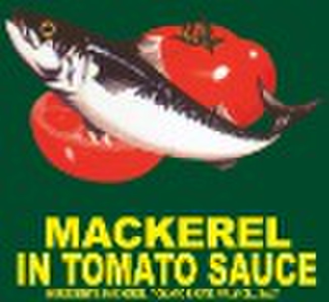 Die Konserven Makrele in Tomatensoße