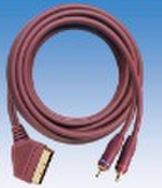 GOLD SCART MALE TO MOLDED 2*RCA MALE