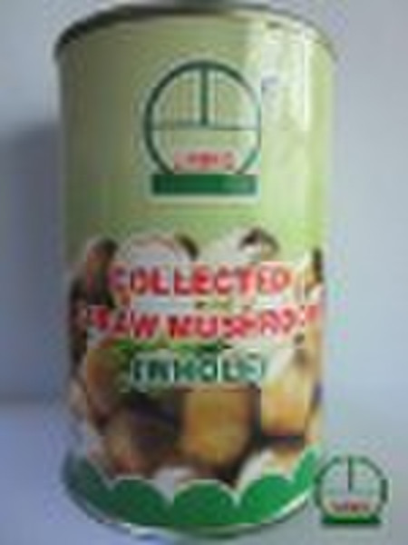 Canned Straw Mushrooms