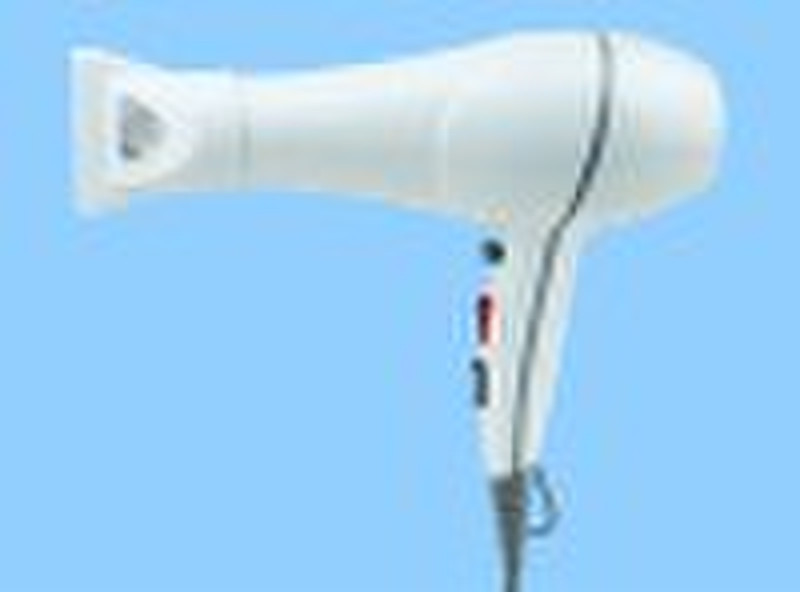 professional AC motor hair dryer