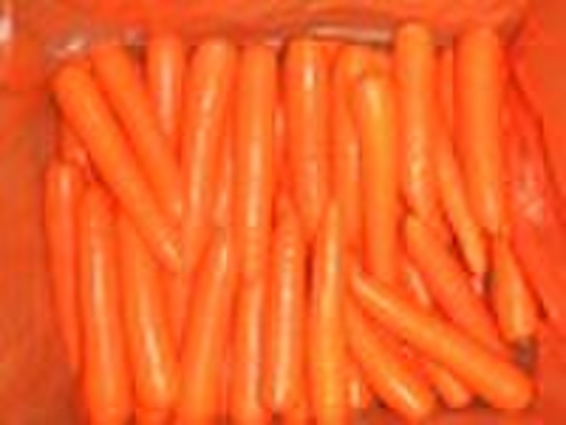 chinese fresh carrot