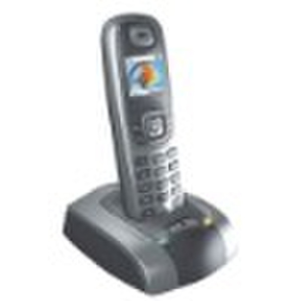 OEM color display DECT Phones