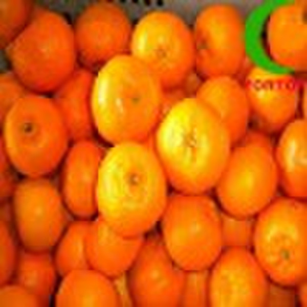 mandarin orange