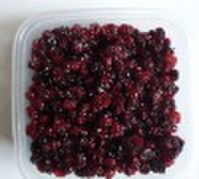 保护野生Lingonberry