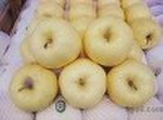 golden delicious apple