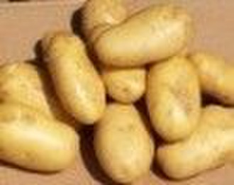 продать свежую картошку (батат)
