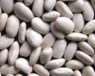 sell middle white kindney bean