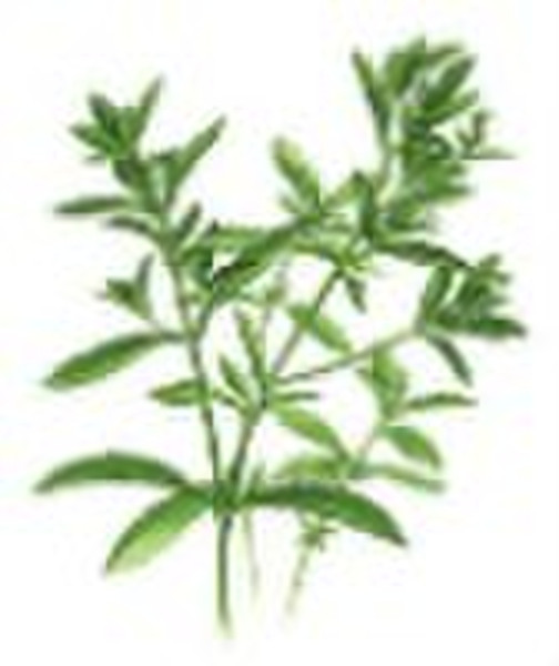 Steviol Glycosides RA95%