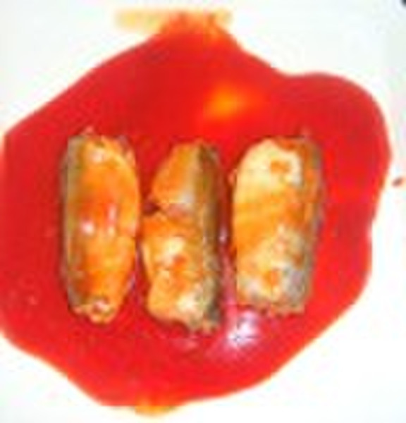 canned mackerel (mackerel in tomato sauce,mackerel