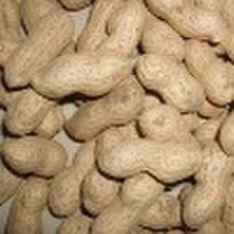 Verkaufen Peanuts